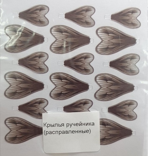 Крылышки ручейника (расправленные) Крылышки ручейника (расправленные)