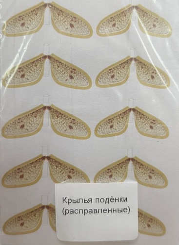 Крылышки поденки (расправленные) Крылышки поденки (расправленные)