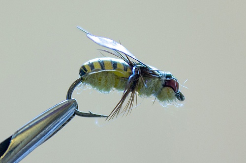 Мушка сухая Журчалка №16 (Hayabusa)