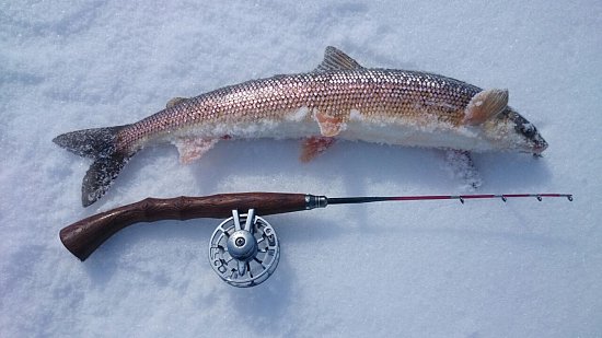 Поступление роскошных зимних удочек от Higashi