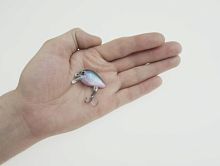Воблер HARD BAITS PRO SERIES мини-кренкбейт 2,85 см, 1,95 г, цв.C кр. № 10