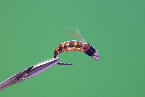 Нимфа Желтый люр №16, кр. SW